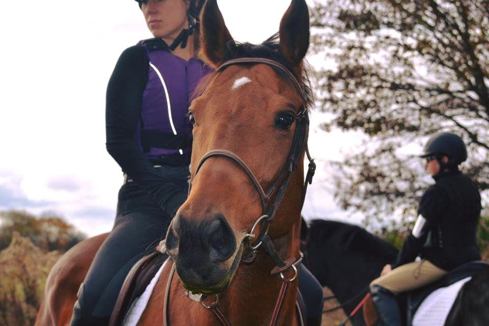 Brent Sumja Sets an Example for Handicapper's by Giving Back to the Thoroughbred Athletes