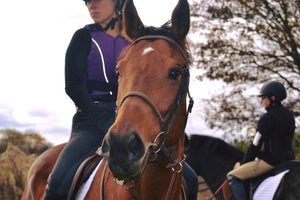 Brent Sumja Sets an Example for Handicapper's by Giving Back to the Thoroughbred Athletes