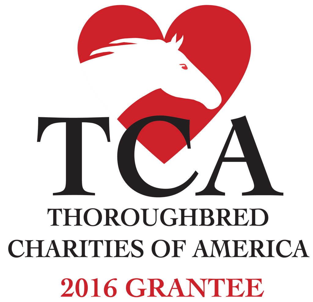 Thoroughbred Charities of America Grant Helps Fund FFI’s Adoption Program in 2016