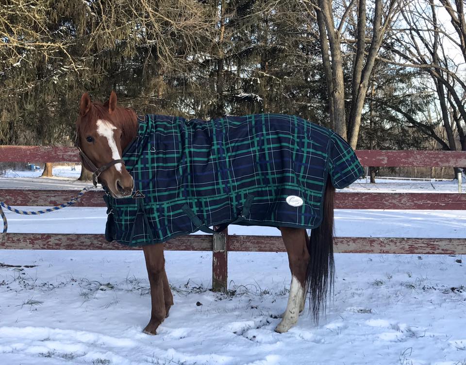 State Line Tack gives back