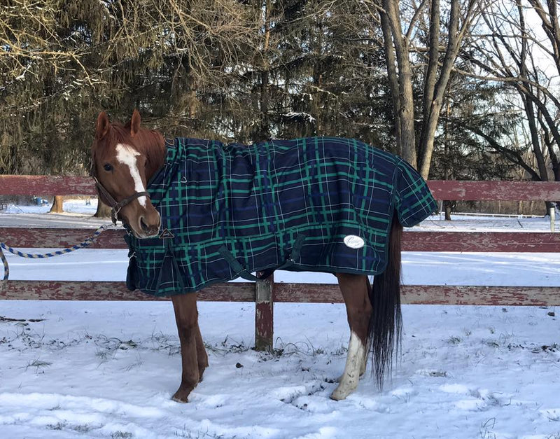 State Line Tack gives back Friends of Ferdinand