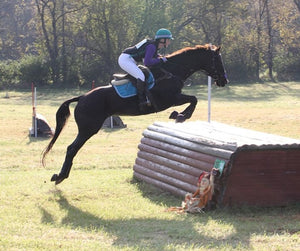 To College and Beyond!