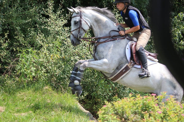 Everyday working for Friends of Ferdinand is an adventure, and I'm lucky to have Bonnie along for the ride!