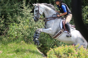 Everyday working for Friends of Ferdinand is an adventure, and I'm lucky to have Bonnie along for the ride!