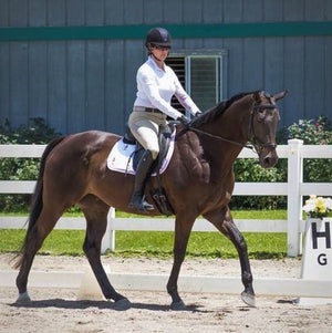 When Kerri lost her horse in 2016, she was lost as to what to do. When she met Sam the Sailor, and saw him move, she knew she wanted him...