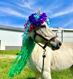 The Homecoming King of the Virtual Derby