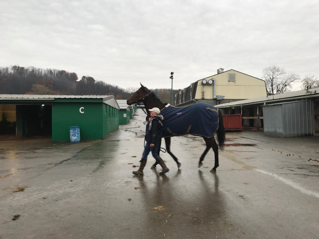 #teamFFI gets a Standing Ovation!