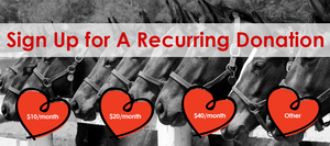 Be A Friend That the Horses Can Count On, Month after Month