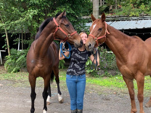 Taking the Scenic Way Home