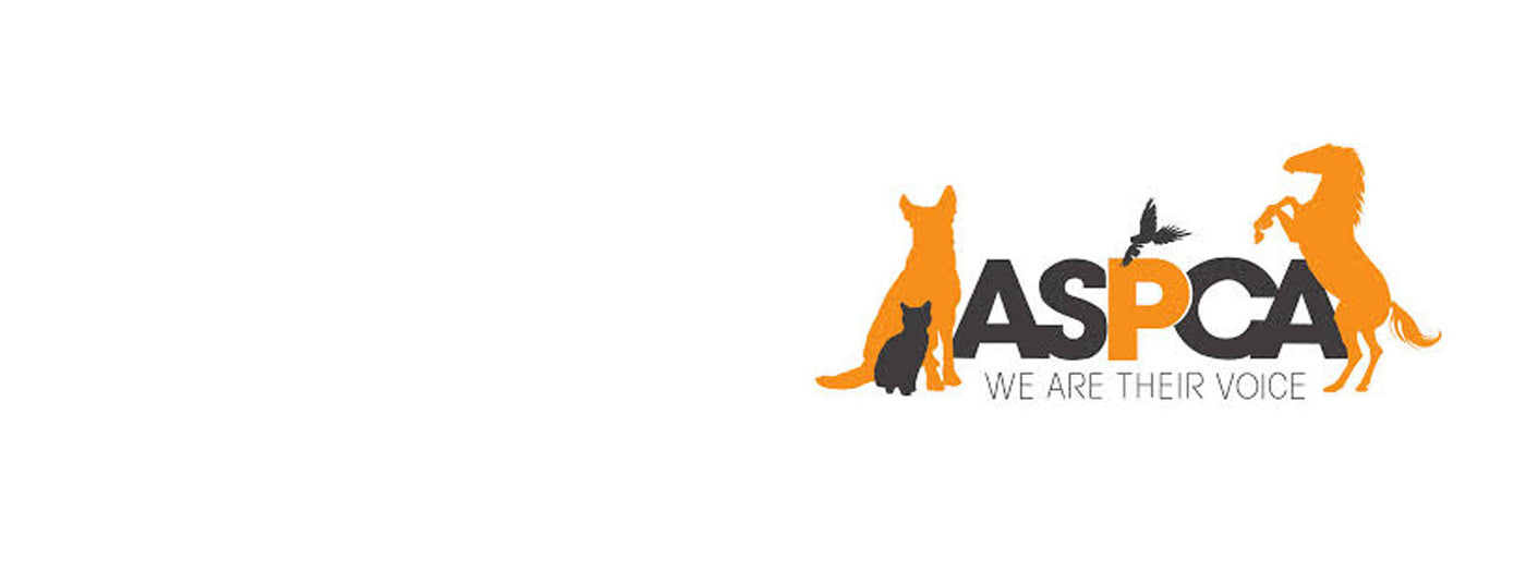Grantor: ASPCA Equine welfare fund
