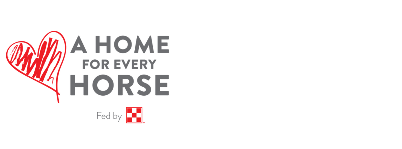 SPONSOR: A Home for Every Horse