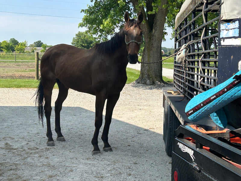 Courtesy Listing - Dr. Liechty (Doc)