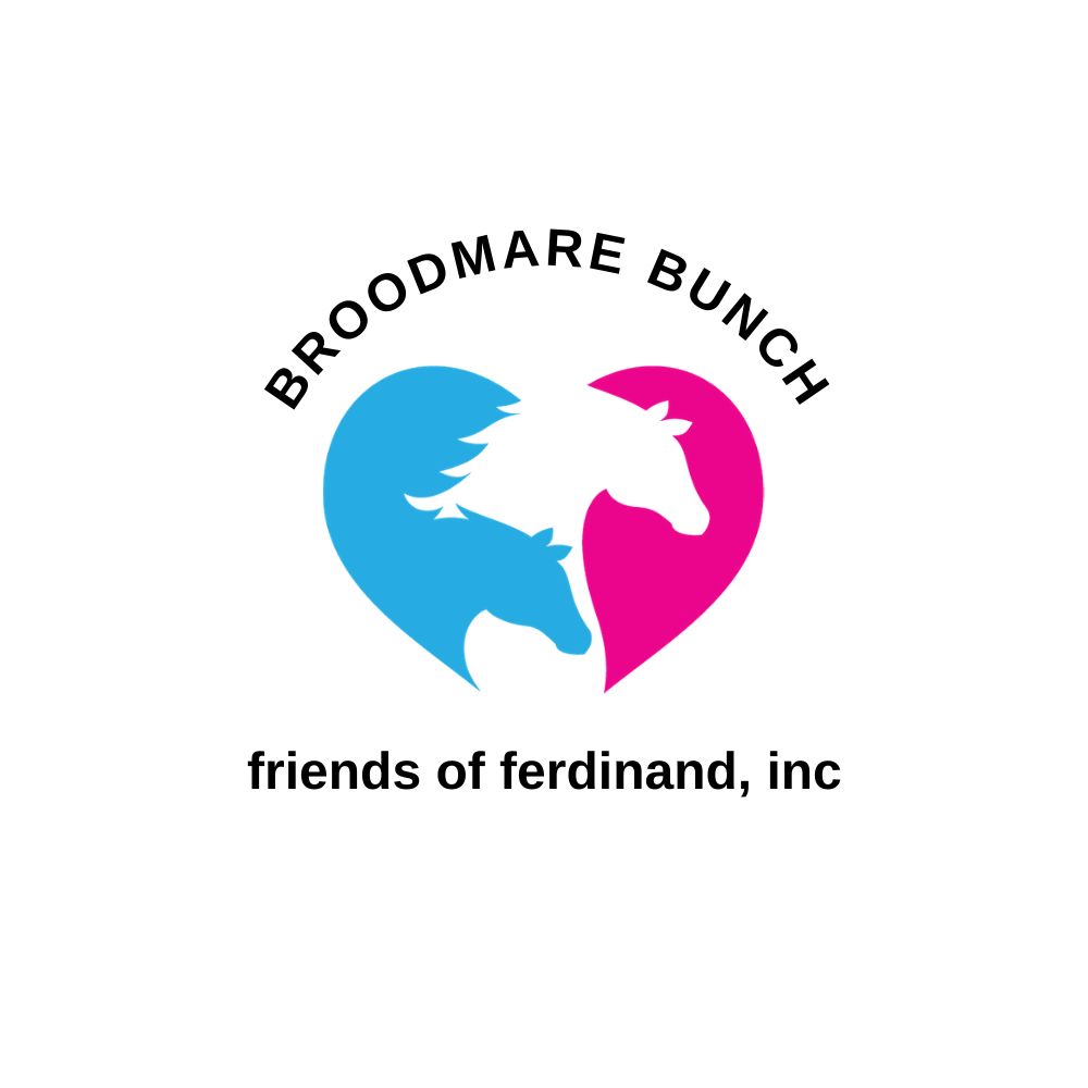 Friends of Ferdinand Launches New Broodmare Pilot Program