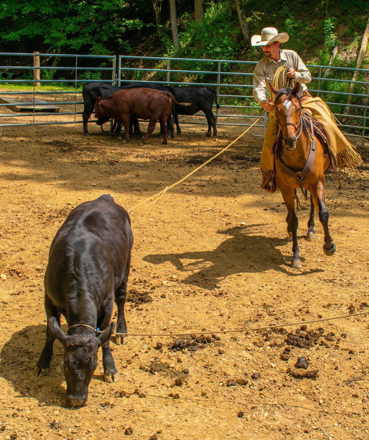 A Cowboy And His Off Track Thoroughbred