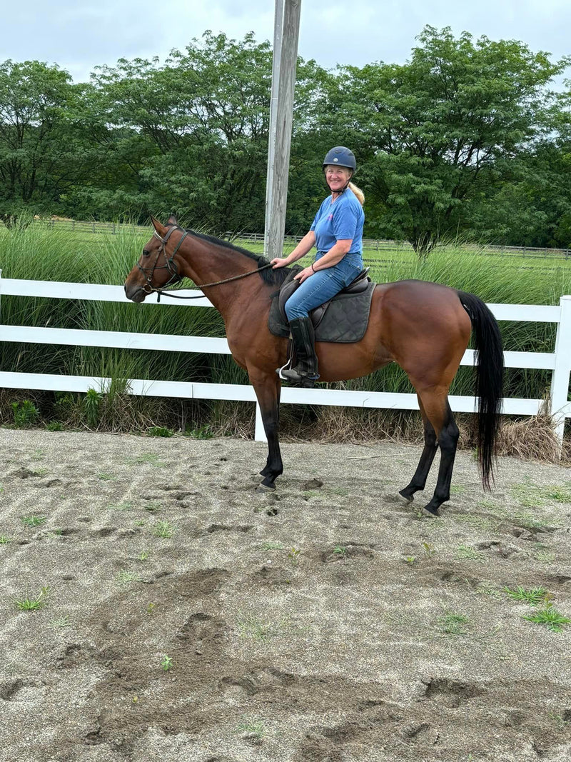 Belle - Add the Belle of the Ball to Your Barn!