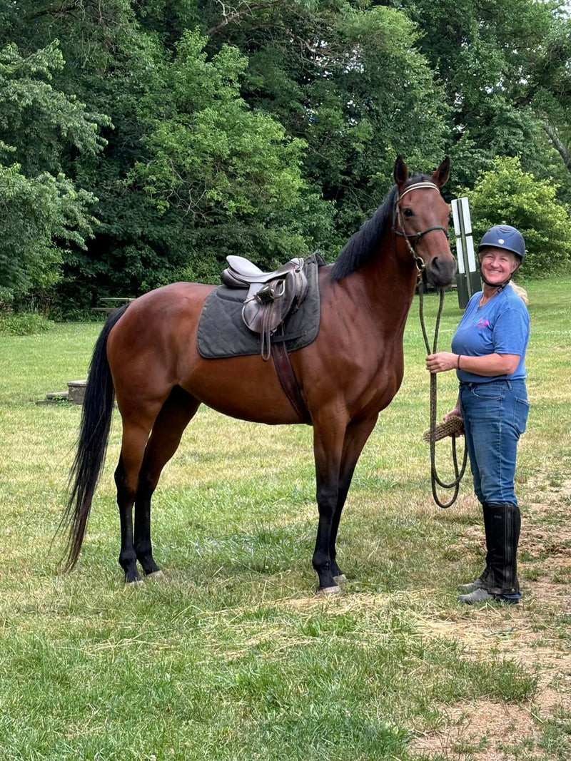 Belle - Add the Belle of the Ball to Your Barn!