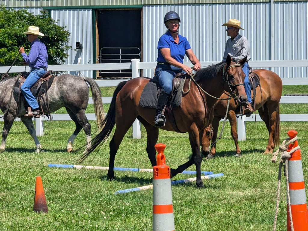 Belle - Add the Belle of the Ball to Your Barn!