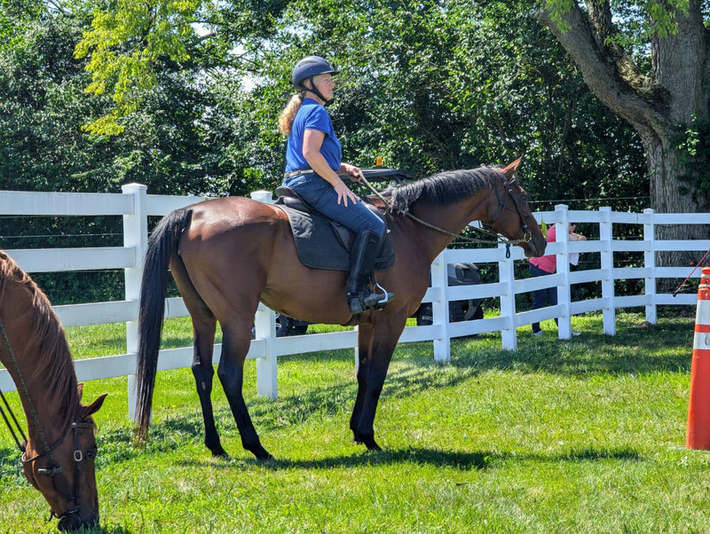 Belle - Add the Belle of the Ball to Your Barn!